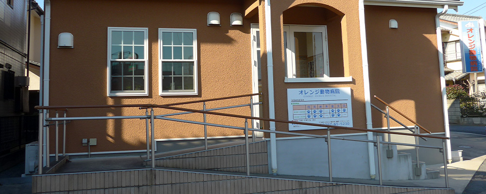 当院について